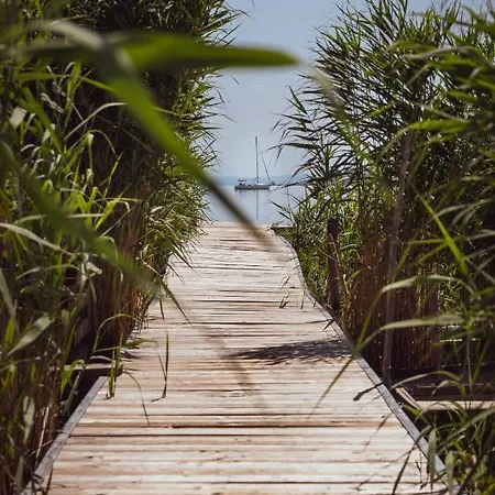 Fuzliget Ezuestnyar Appartement