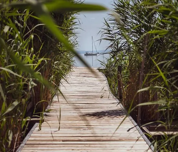 Fuzliget Ezuestnyar דירה